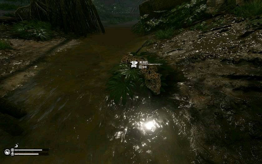 《綠色地獄》全可食用物品圖鑒及效果一覽