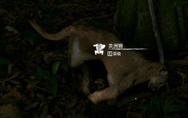 《綠色地獄》全可食用物品圖鑒及效果一覽