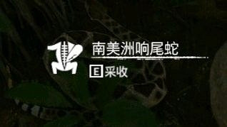 《綠色地獄》全可食用物品圖鑒及效果一覽