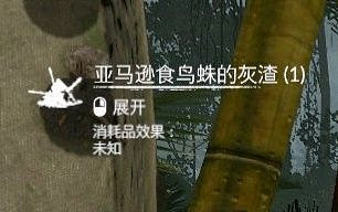 《綠色地獄》全可食用物品圖鑒及效果一覽