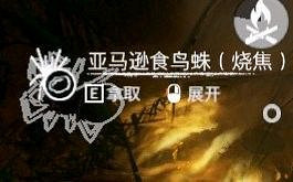 《綠色地獄》全可食用物品圖鑒及效果一覽