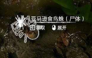 《綠色地獄》全可食用物品圖鑒及效果一覽