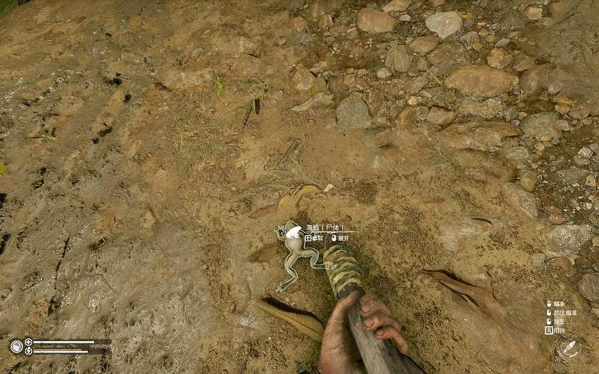 《綠色地獄》全可食用物品圖鑒及效果一覽