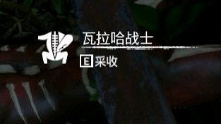 《綠色地獄》全可食用物品圖鑒及效果一覽