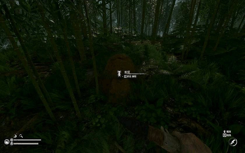 《綠色地獄》全可食用物品圖鑒及效果一覽