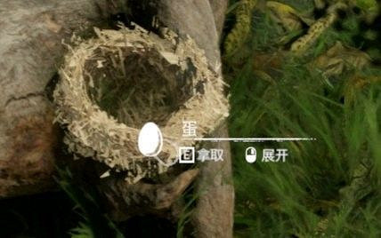 《綠色地獄》全可食用物品圖鑒及效果一覽