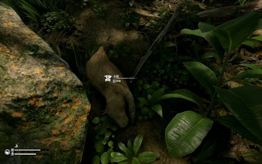 《綠色地獄》全可食用物品圖鑒及效果一覽