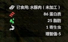 《綠色地獄》全可食用物品圖鑒及效果一覽