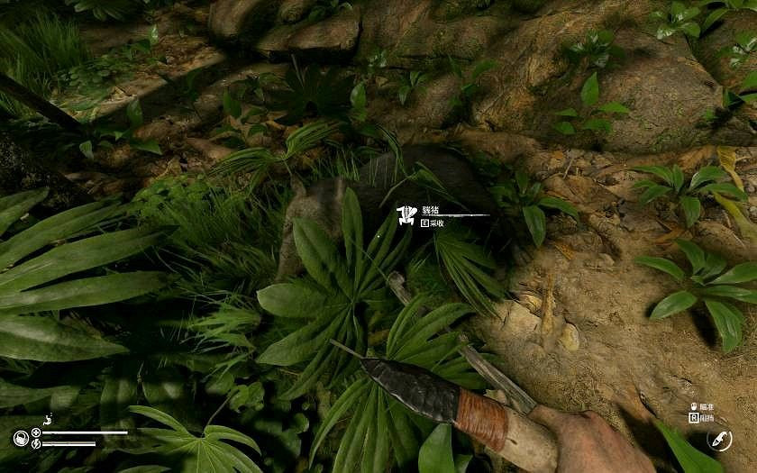 《綠色地獄》全可食用物品圖鑒及效果一覽