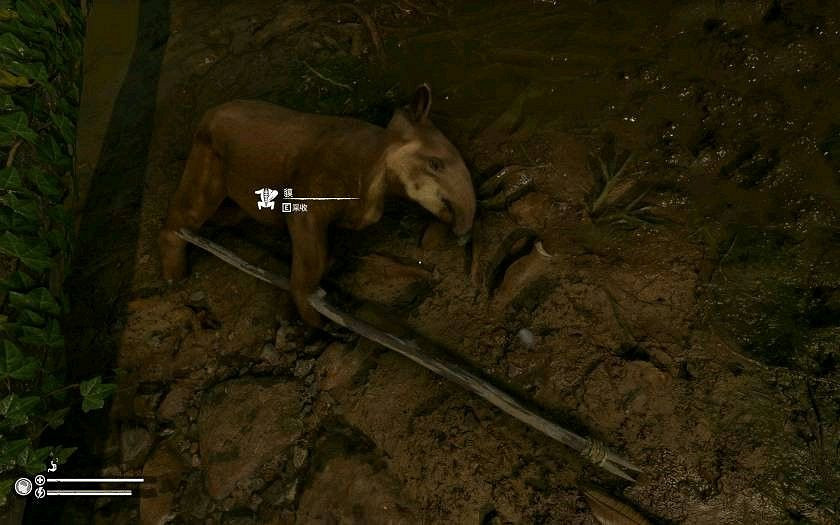 《綠色地獄》全可食用物品圖鑒及效果一覽