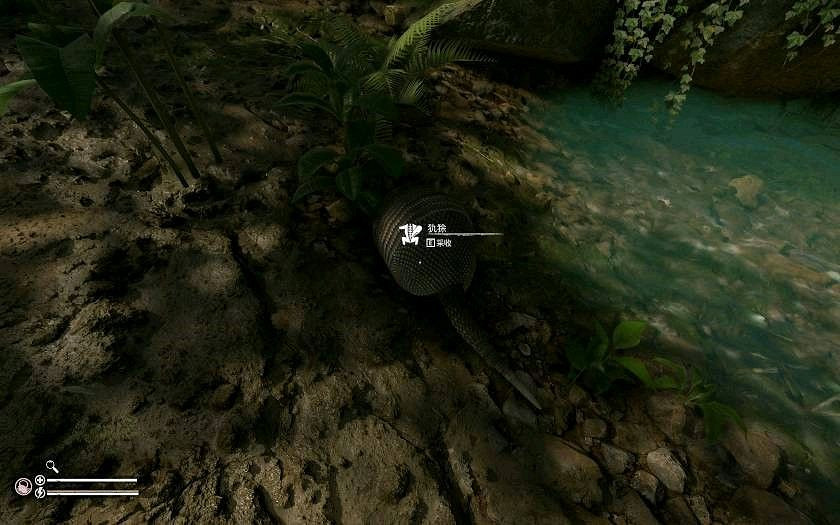 《綠色地獄》全可食用物品圖鑒及效果一覽