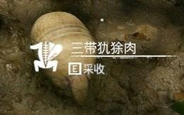 《綠色地獄》全可食用物品圖鑒及效果一覽