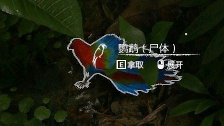 《綠色地獄》全可食用物品圖鑒及效果一覽