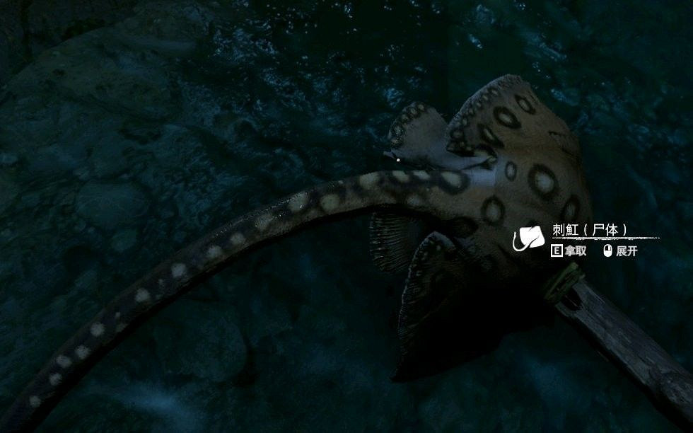 《綠色地獄》全可食用物品圖鑒及效果一覽