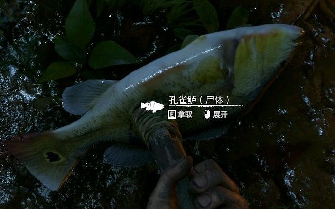 《綠色地獄》全可食用物品圖鑒及效果一覽