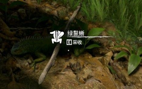 《綠色地獄》全可食用物品圖鑒及效果一覽