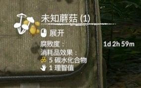 《綠色地獄》全可食用物品圖鑒及效果一覽