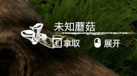 《綠色地獄》全可食用物品圖鑒及效果一覽