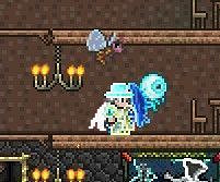 《泰拉瑞亞（Terraria）》專家模式快速開荒心得