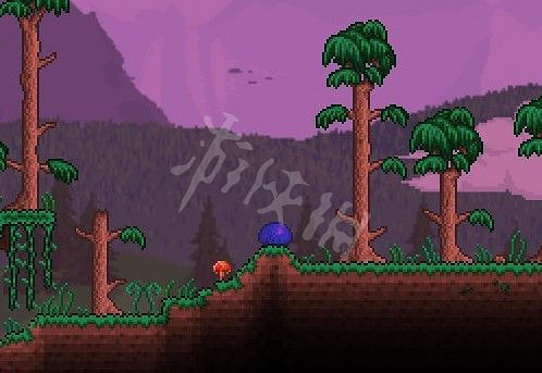 《泰拉瑞亞（Terraria）》專家模式開荒教學圖文攻略