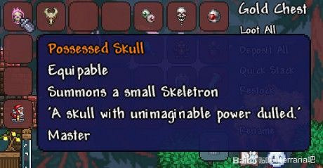 《泰拉瑞亞(Terraria)》大師模式特有BOSS戰利品一覽 《泰拉瑞亞(Terraria)》大師模式特有BOSS戰利品一覽