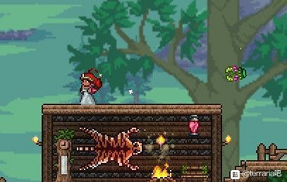 《泰拉瑞亞（Terraria）》各BOSS大師模式專屬獎勵一覽