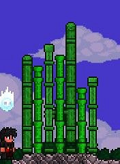 《泰拉瑞亞（Terraria）》中式建築建造指南