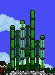 《泰拉瑞亞（Terraria）》中式建築建造指南