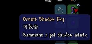 《泰拉瑞亞（Terraria）》大師模式探索與道具使用心得