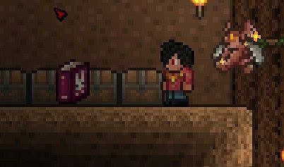 《泰拉瑞亞（Terraria）》大師模式探索與道具使用心得