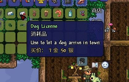 《泰拉瑞亞（Terraria）》大師模式探索與道具使用心得