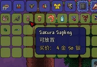 《泰拉瑞亞（Terraria）》大師模式探索與道具使用心得