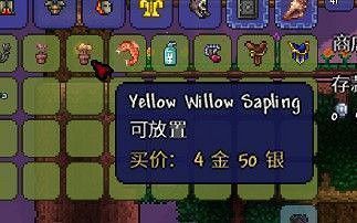 《泰拉瑞亞（Terraria）》大師模式探索與道具使用心得