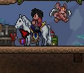 《泰拉瑞亞（Terraria）》大師模式探索與道具使用心得