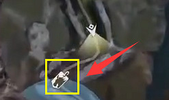 《神祐釋放》坐騎商人位置介紹 《神祐釋放》坐騎商人位置介紹