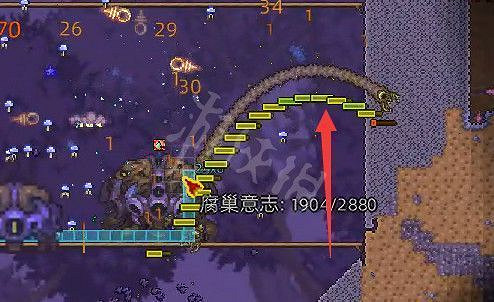 《泰拉瑞亞（Terraria）》災厄腐巢意誌打法介紹