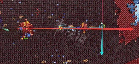 《泰拉瑞亞（Terraria）》災厄血肉宿主打法介紹