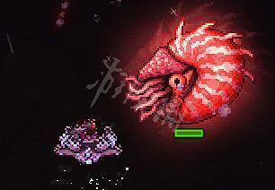 《泰拉瑞亞(Terraria)》恐懼鸚鵡螺打法介紹 《泰拉瑞亞(Terraria)》恐懼鸚鵡螺打法介紹