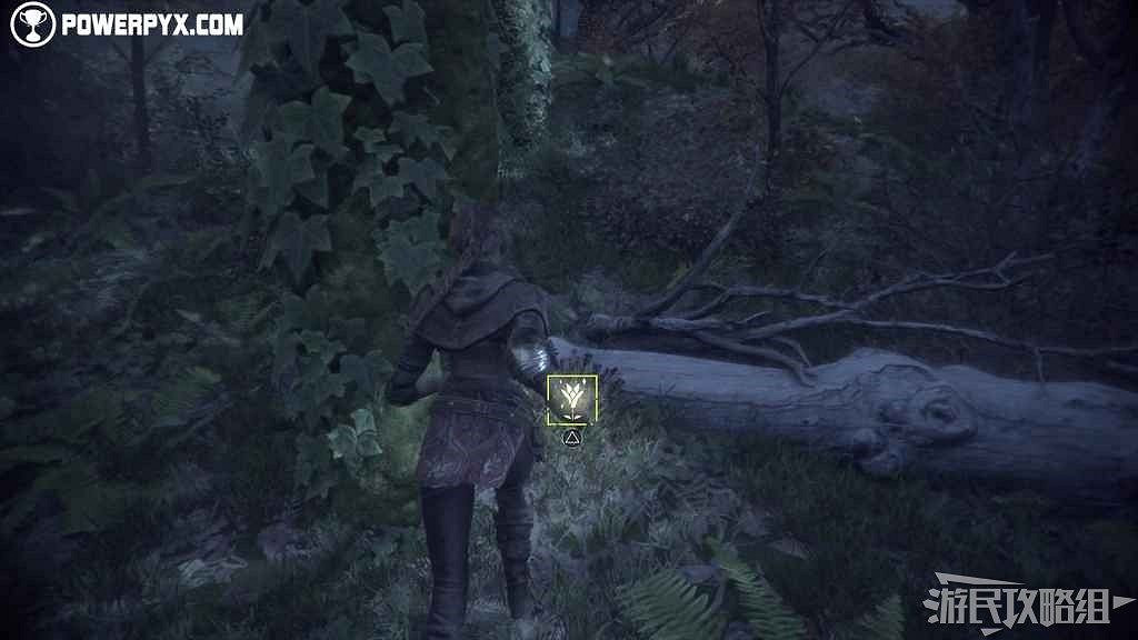 《瘟疫傳說 無罪》全收集攻略 所有收集品位置及獲取方法 《瘟疫傳說 無罪》全收集攻略 所有收集品位置及獲取方法