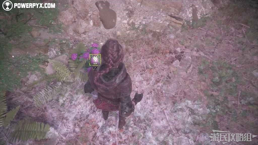 《瘟疫傳說 無罪》全收集攻略 所有收集品位置及獲取方法 《瘟疫傳說 無罪》全收集攻略 所有收集品位置及獲取方法