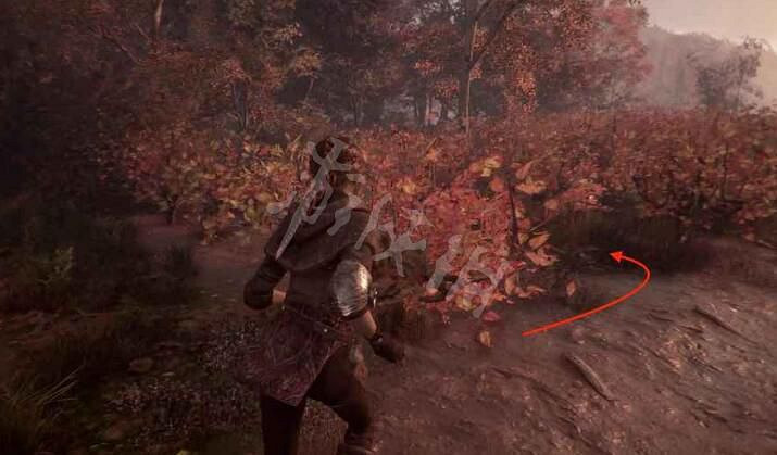 《瘟疫傳說 無罪》找到了獎盃成就攻略分享 《瘟疫傳說 無罪》找到了獎盃成就攻略分享