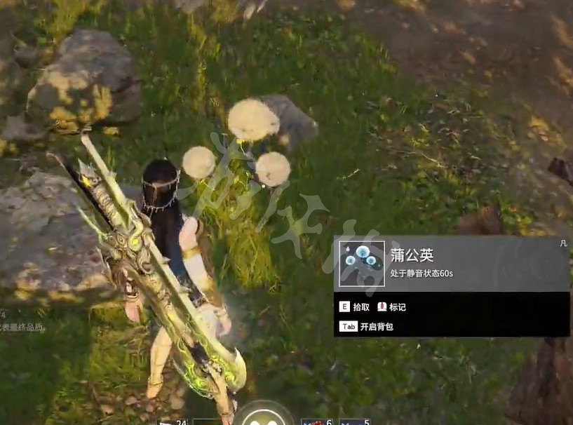 《永劫無間》蒲公英位置與功能介紹 《永劫無間》蒲公英位置與功能介紹