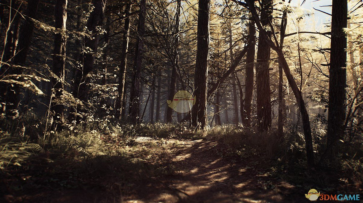 《厄夜叢林》特殊結局觸發方法分享 《厄夜叢林》特殊結局觸發方法分享