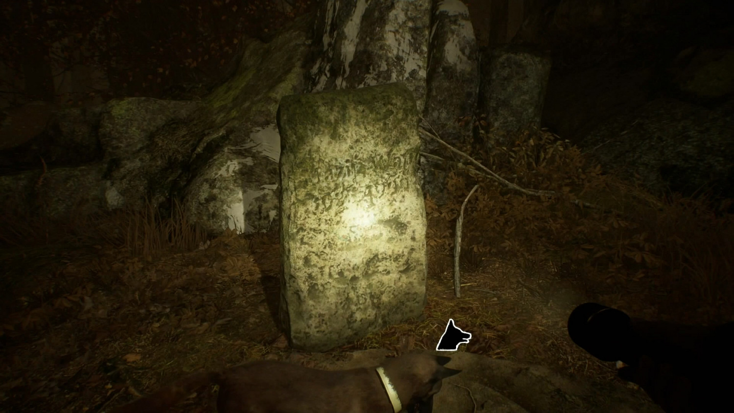 恐怖遊戲《厄夜叢林》新展示 帶狗狗勇闖恐怖森林 恐怖遊戲《厄夜叢林》新展示 帶狗狗勇闖恐怖森林