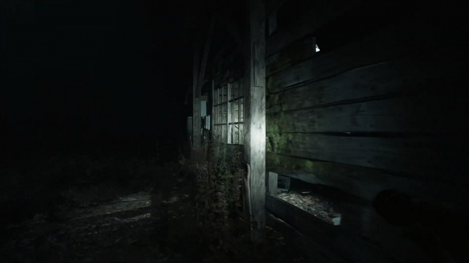 恐怖遊戲《厄夜叢林》新展示 帶狗狗勇闖恐怖森林 恐怖遊戲《厄夜叢林》新展示 帶狗狗勇闖恐怖森林