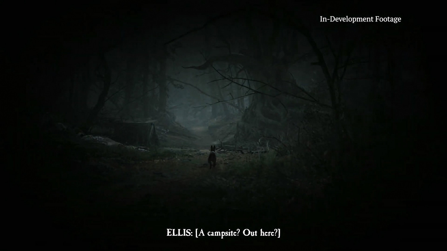 恐怖遊戲《厄夜叢林》新展示 帶狗狗勇闖恐怖森林 恐怖遊戲《厄夜叢林》新展示 帶狗狗勇闖恐怖森林