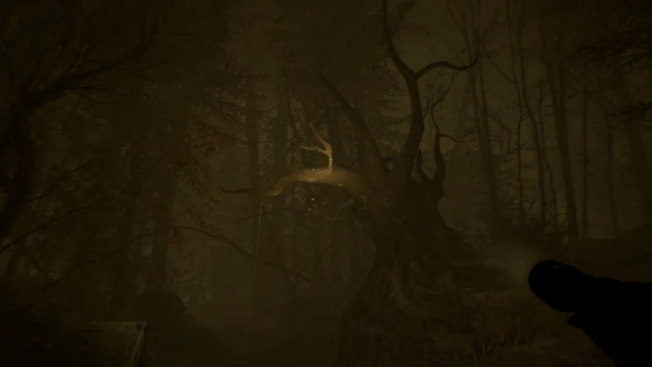 “層層恐懼”開發商新作《厄夜叢林》新預告：開局一條狗 抓鬼全靠手