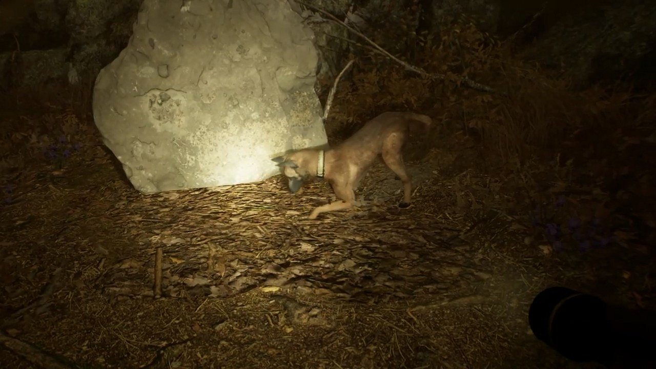 “層層恐懼”開發商新作《厄夜叢林》新預告：開局一條狗 抓鬼全靠手