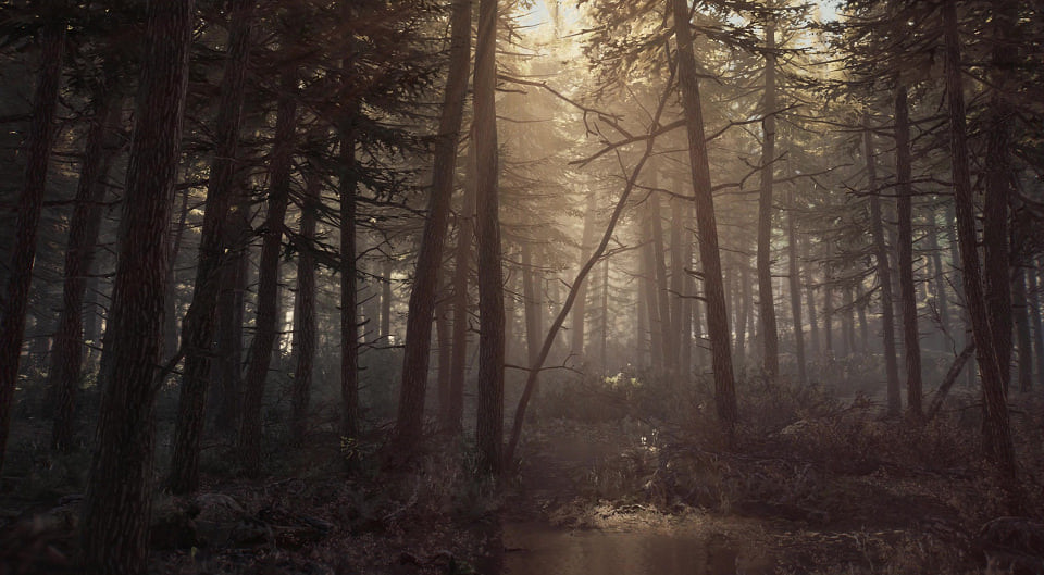 《厄夜叢林》新影片：神秘錄影帶風格再現