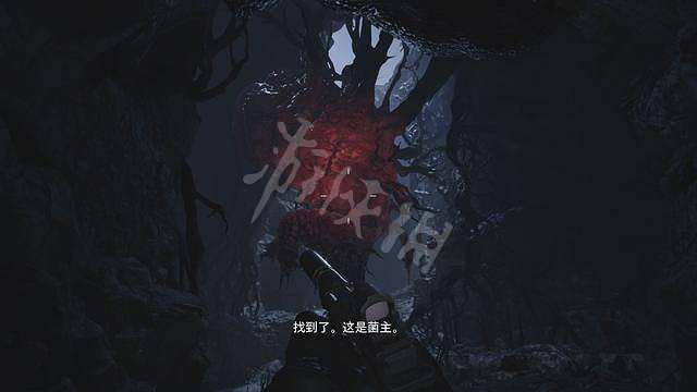 《惡靈古堡8》菌主來歷介紹 《惡靈古堡8》菌主來歷介紹